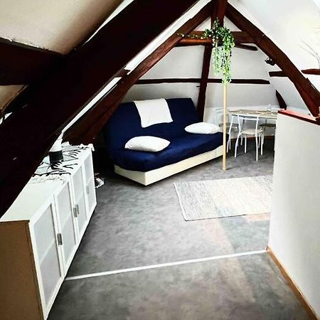 Tres Beau Studio Mansarde, Centre De Bourgesアパートメント エクステリア 写真