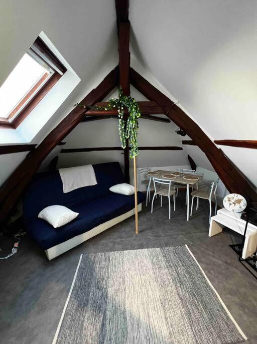 Tres Beau Studio Mansarde, Centre De Bourgesアパートメント エクステリア 写真