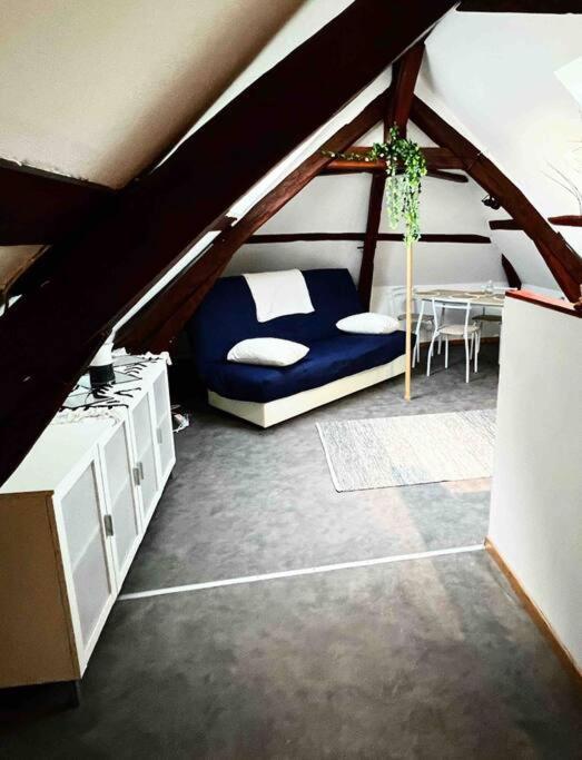 Tres Beau Studio Mansarde, Centre De Bourgesアパートメント エクステリア 写真